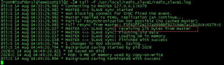 redis-slave-setvalue1.jpg